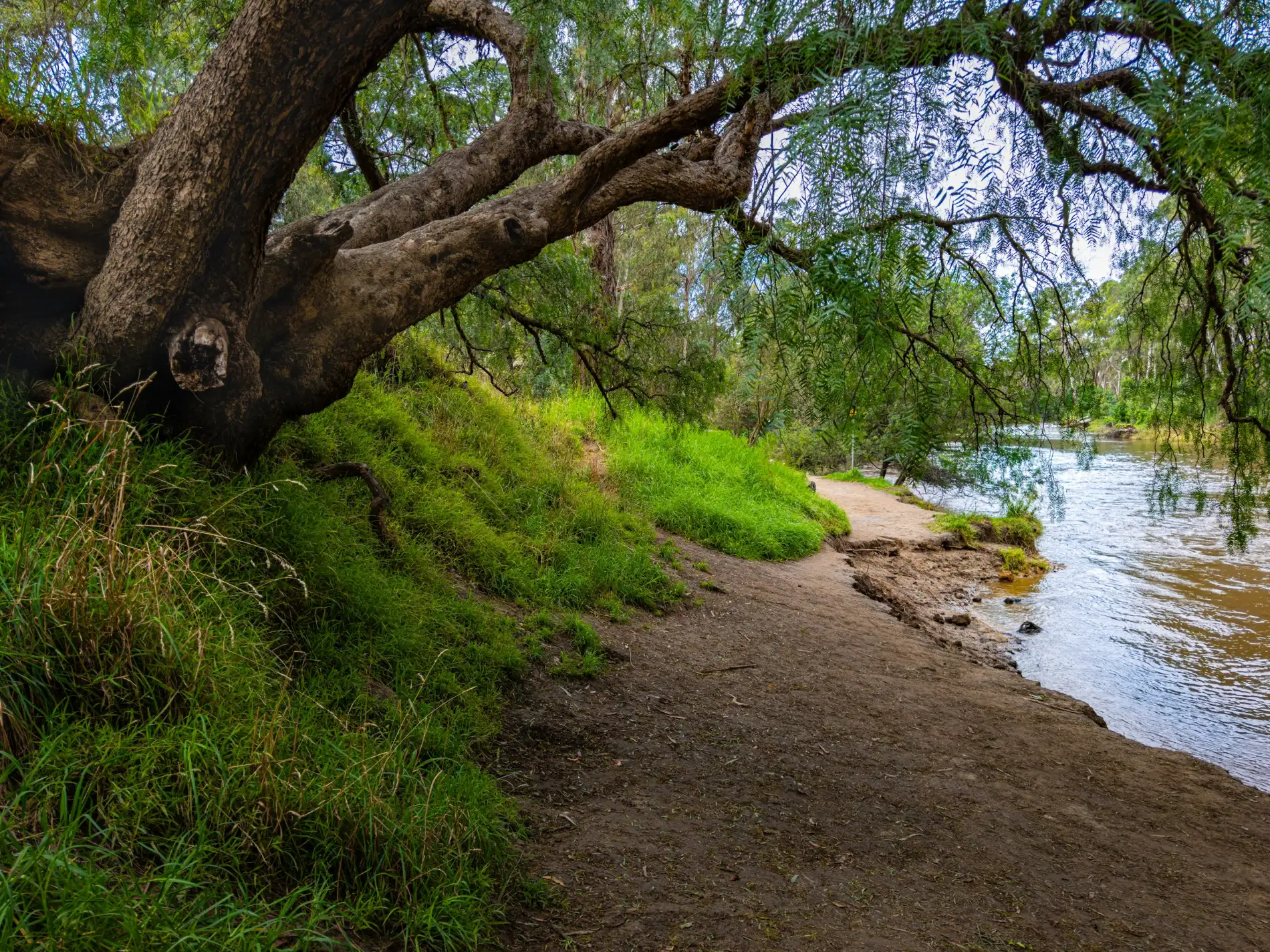 A quiet riverside trail along the James